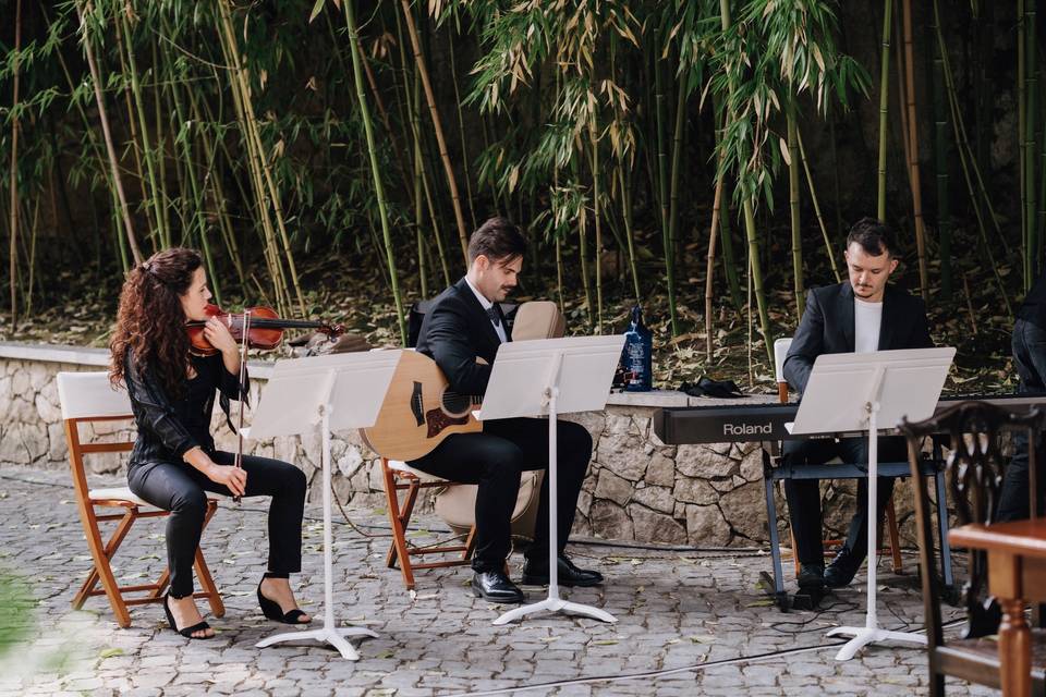 Músicos