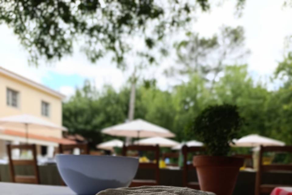 Melhores ingredientes