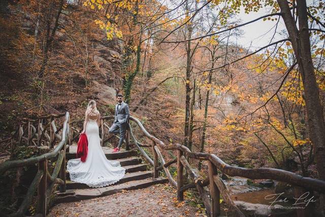 In the woods