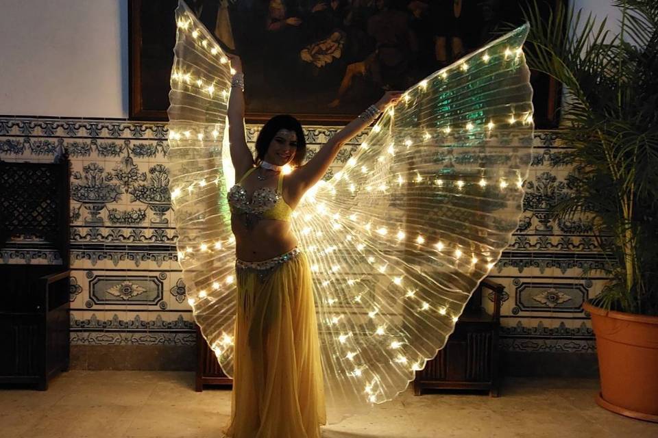 Yellow LED wings