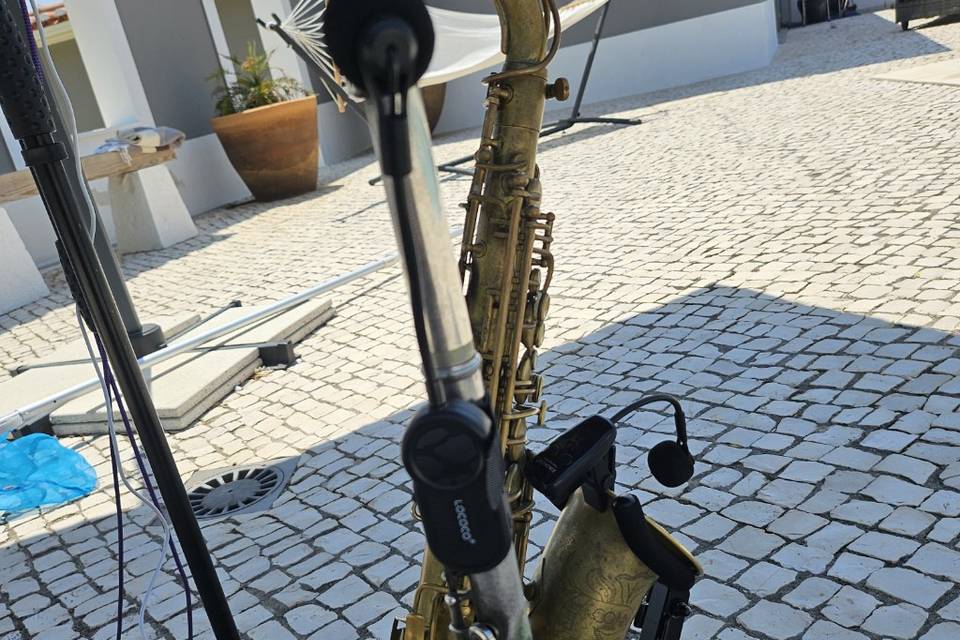 Festa a beira da piscina