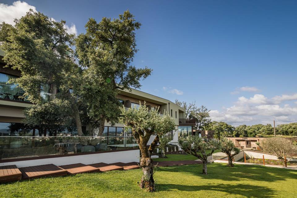 Jardins oliveiras