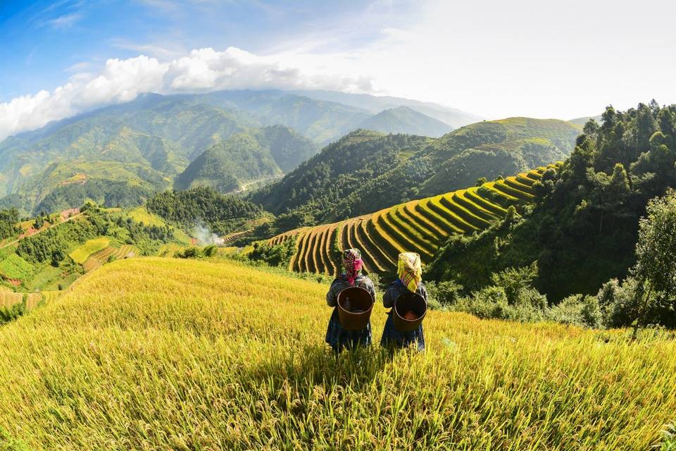 365 Viagens - Vietname
