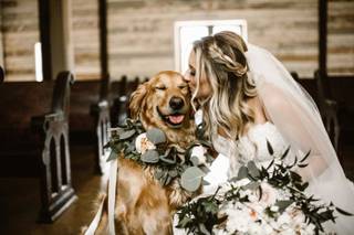 Animalitos - Wedding Dog Services