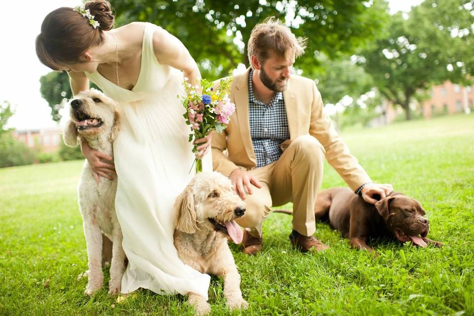 Animalitos - Wedding Dog Services