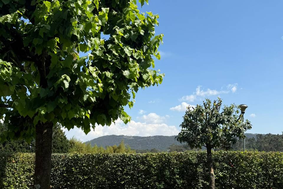 Jardim