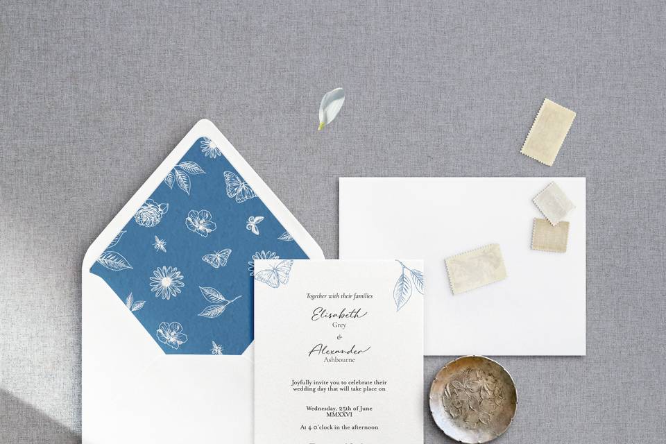 Butterfly card