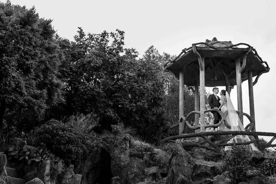 Fernando Ferreira Fotografia