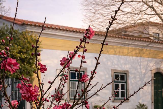 Quinta do Campo