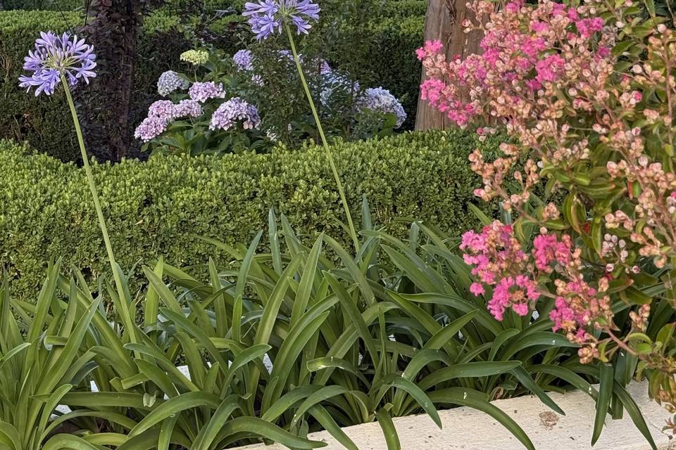 Jardim dos Buxos