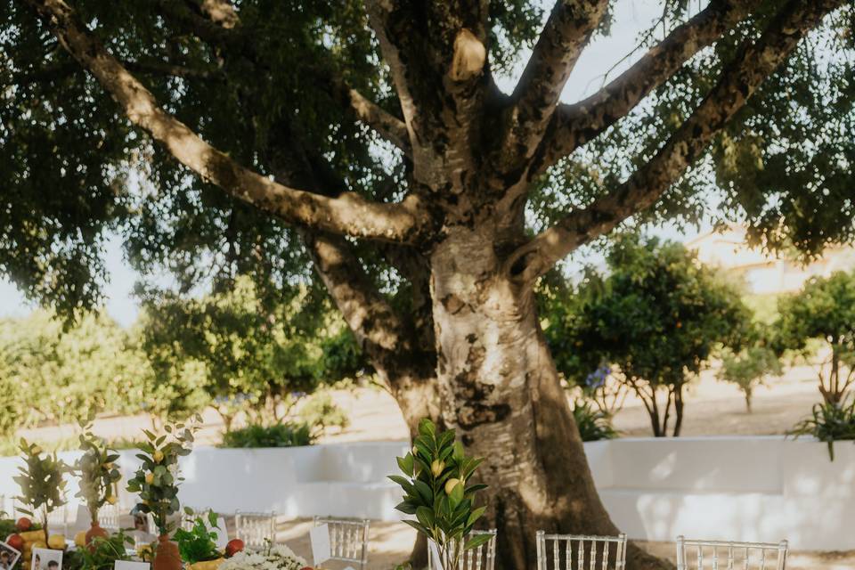 Decoração Alameda principal