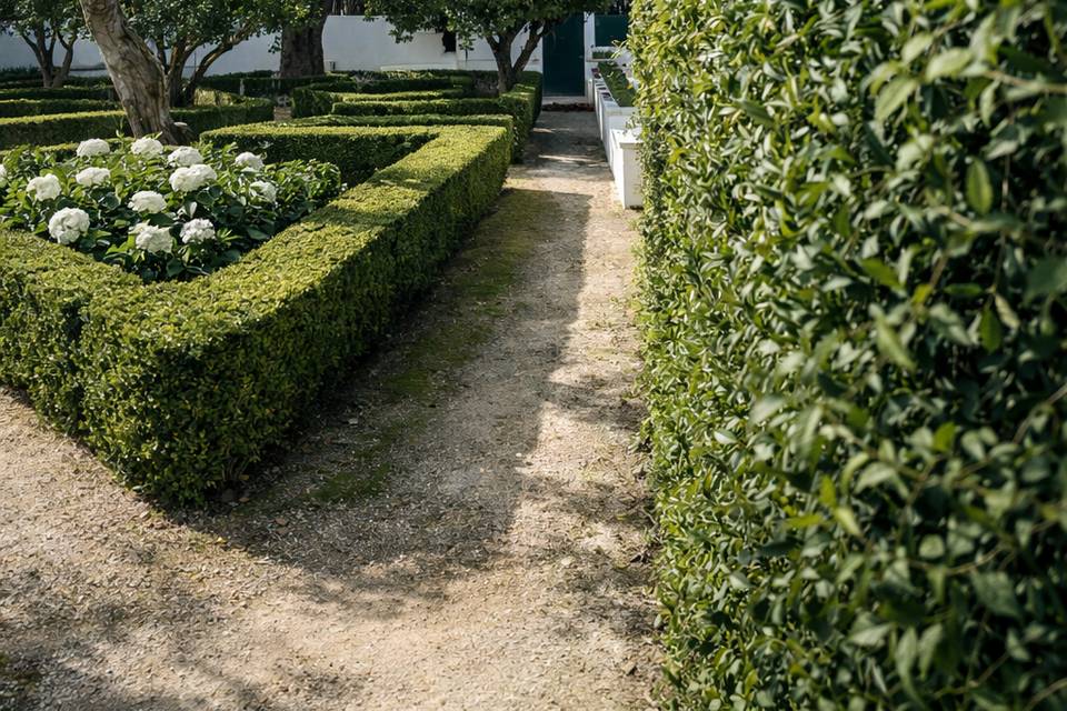 Jardim dos Buxos