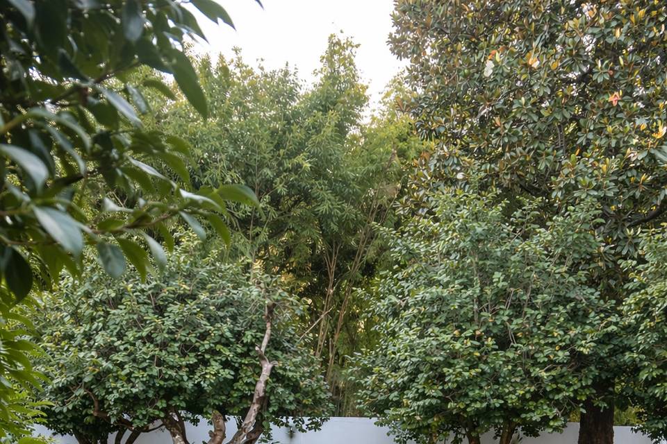 Jardim dos Buxos