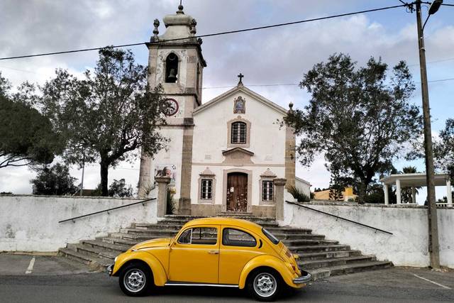 Borboleta Radical