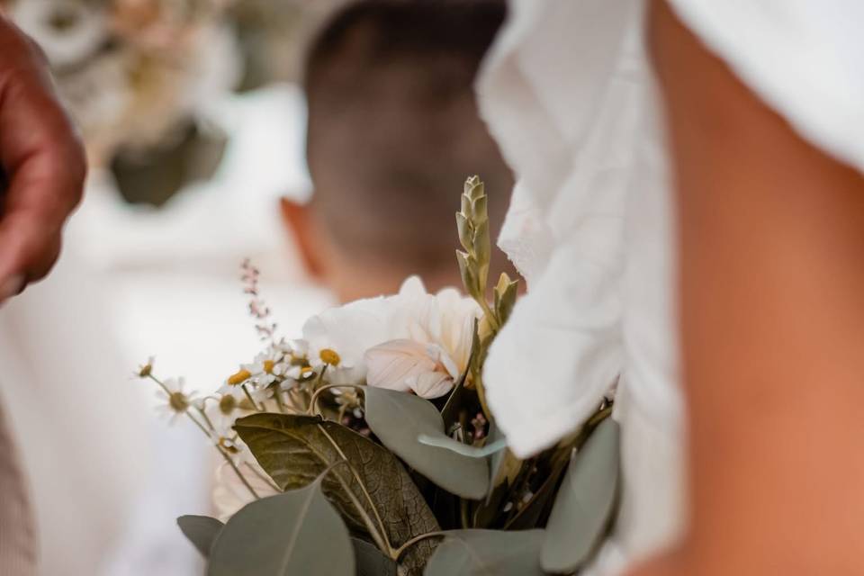 Abacaxi Design & Photography