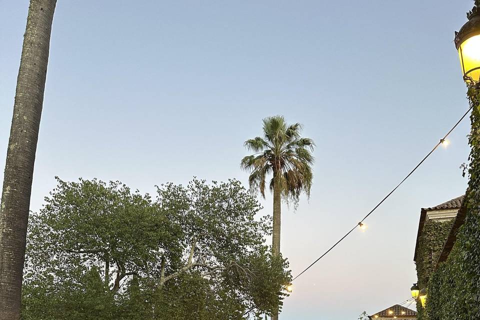 Quinta