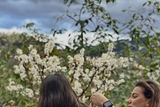 Inês Ferreira Hairstyles