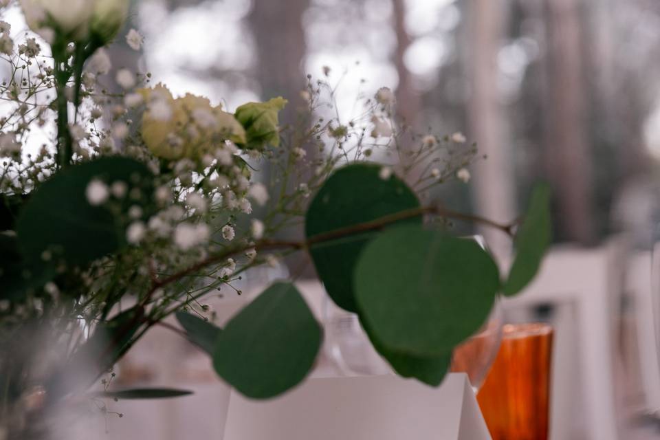 Detalhes