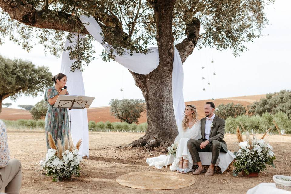 Casamento de conto de fadas