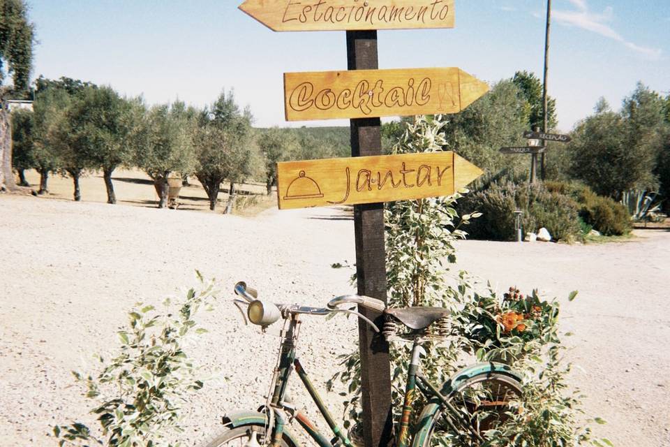 Placa de direção