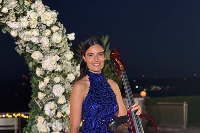Violoncelo elétrico