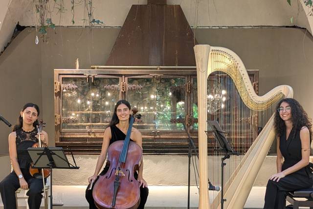 Violoncelo, Violino e Harpa