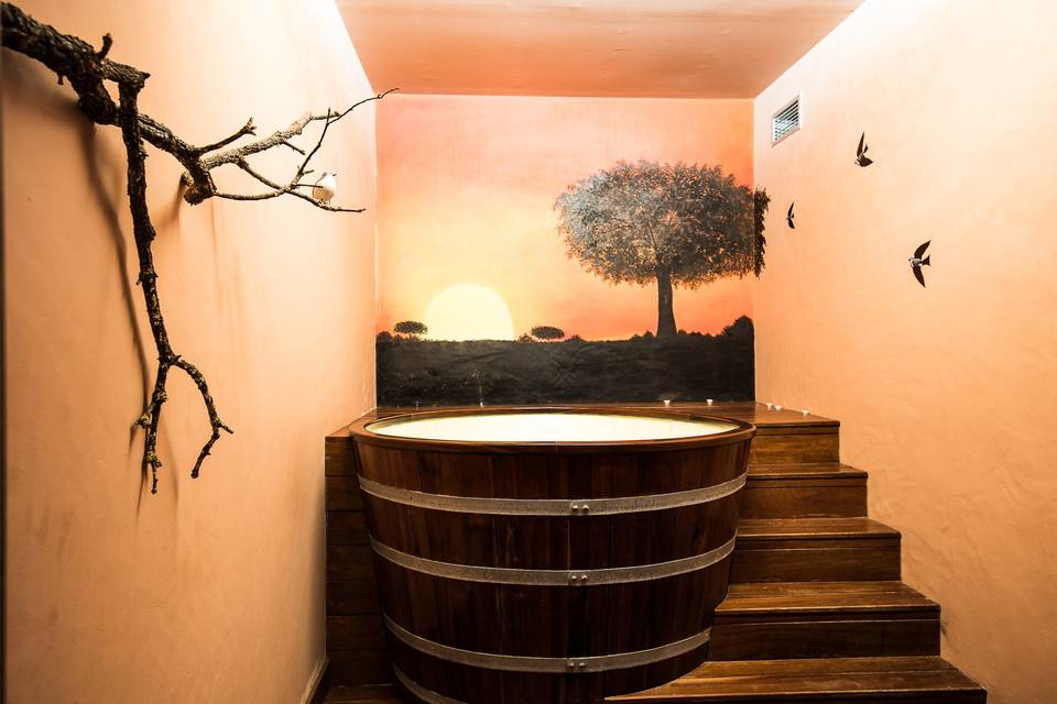 Spa - sala privada hidromassagem