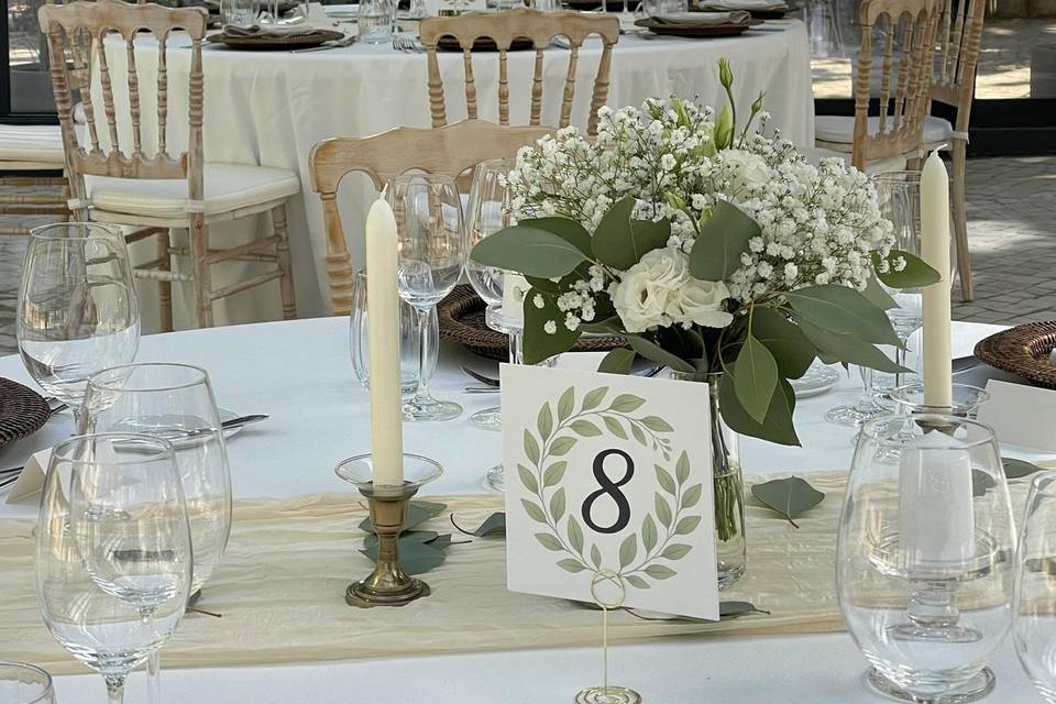 Vandelli Botanical Garden