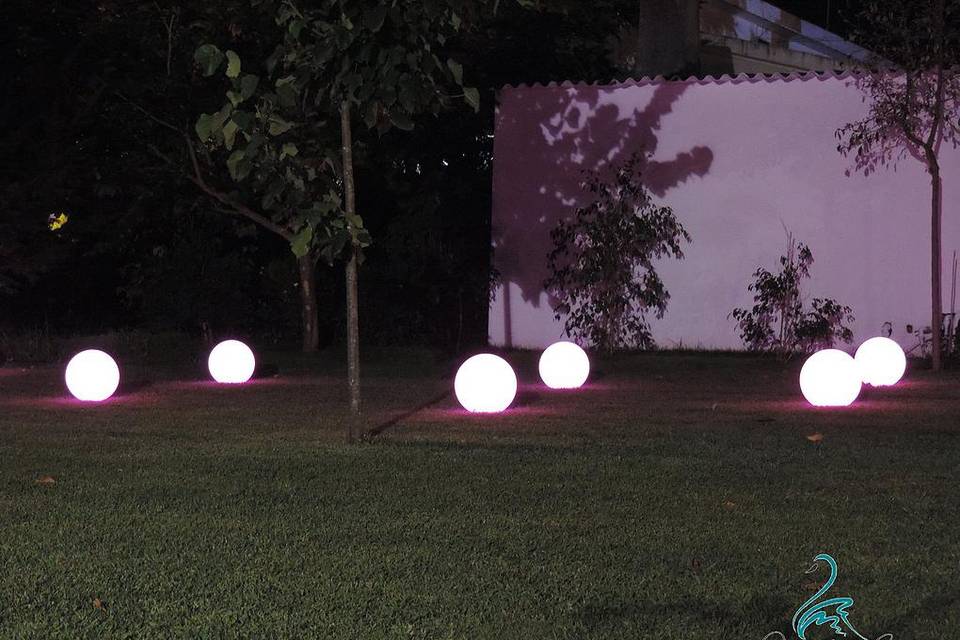 Jardim