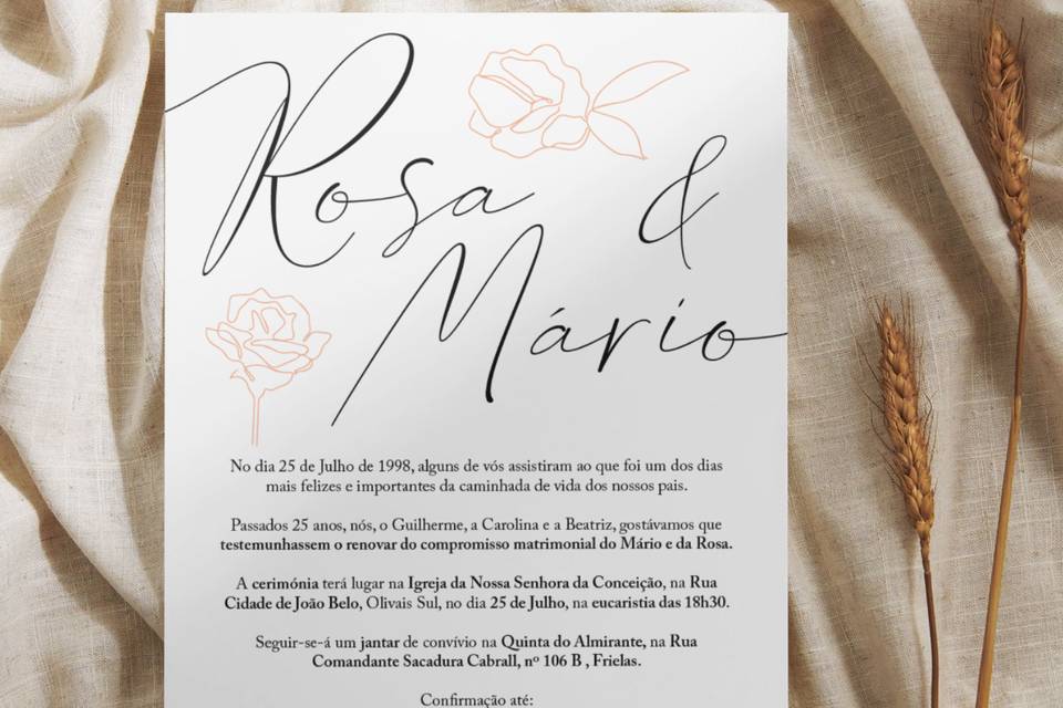 25 anos de casados R&M