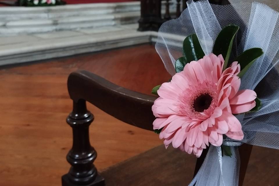 Igreja Sofia 02/2026