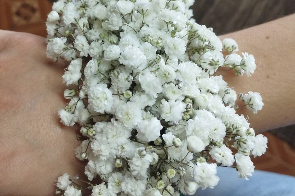 Pulseira damas Inês 06/2026