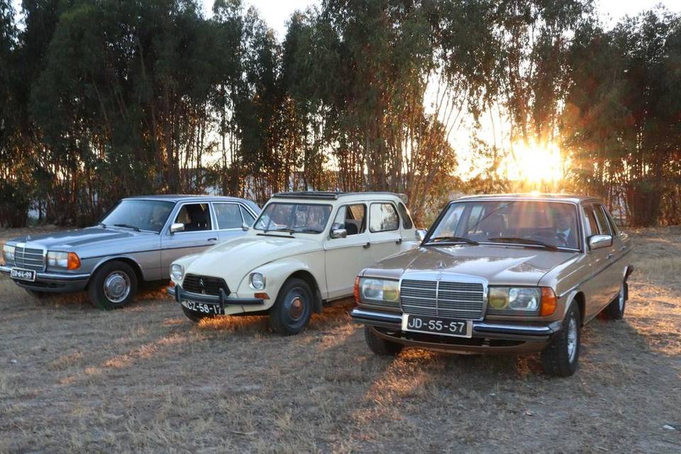 W123 280E, Dyane e W123 300D