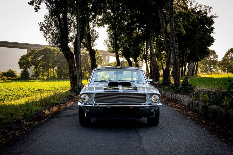 Ford Mustang 1967