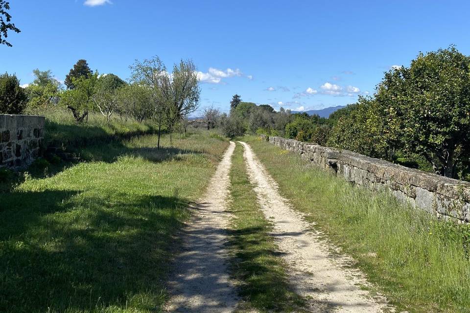 Os caminhos da quinta