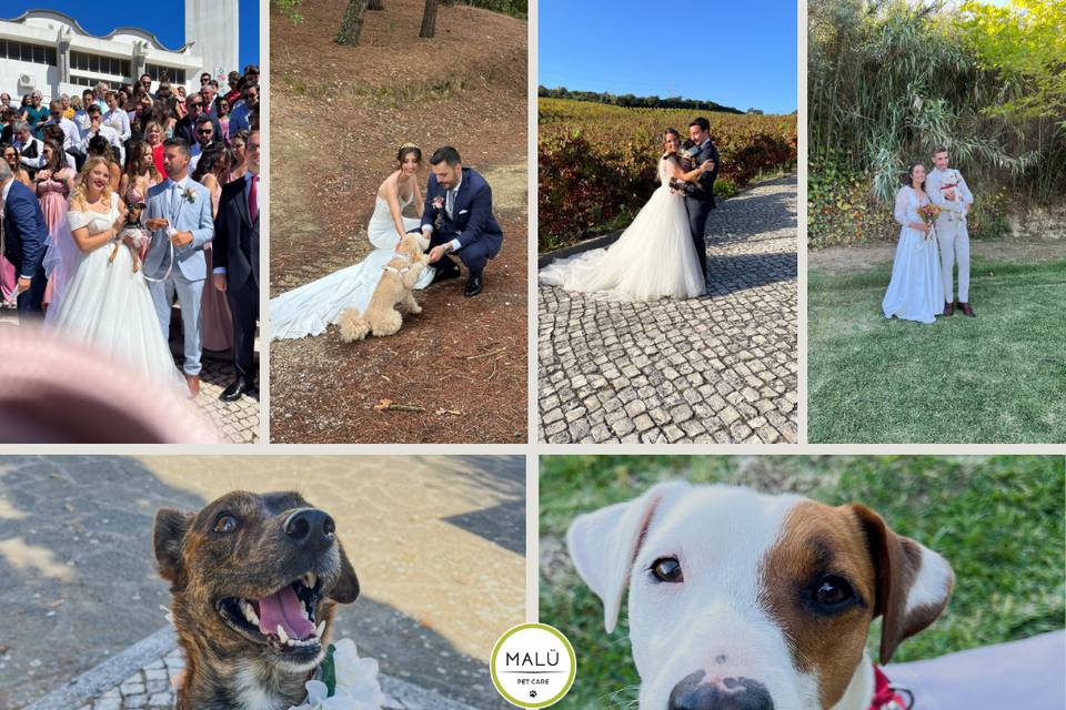 Resumo de alguns dos 💒