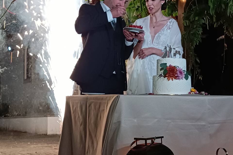 Casamento-Topo de bolo