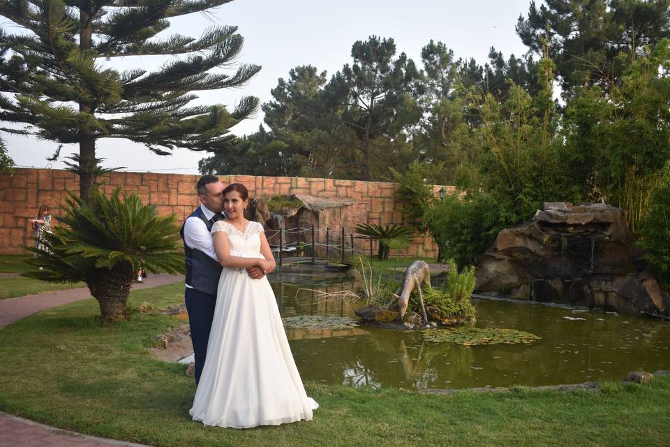 Amor que floresce e acalma