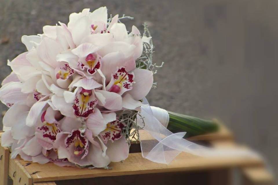 Bouquet Orquídeas brancas