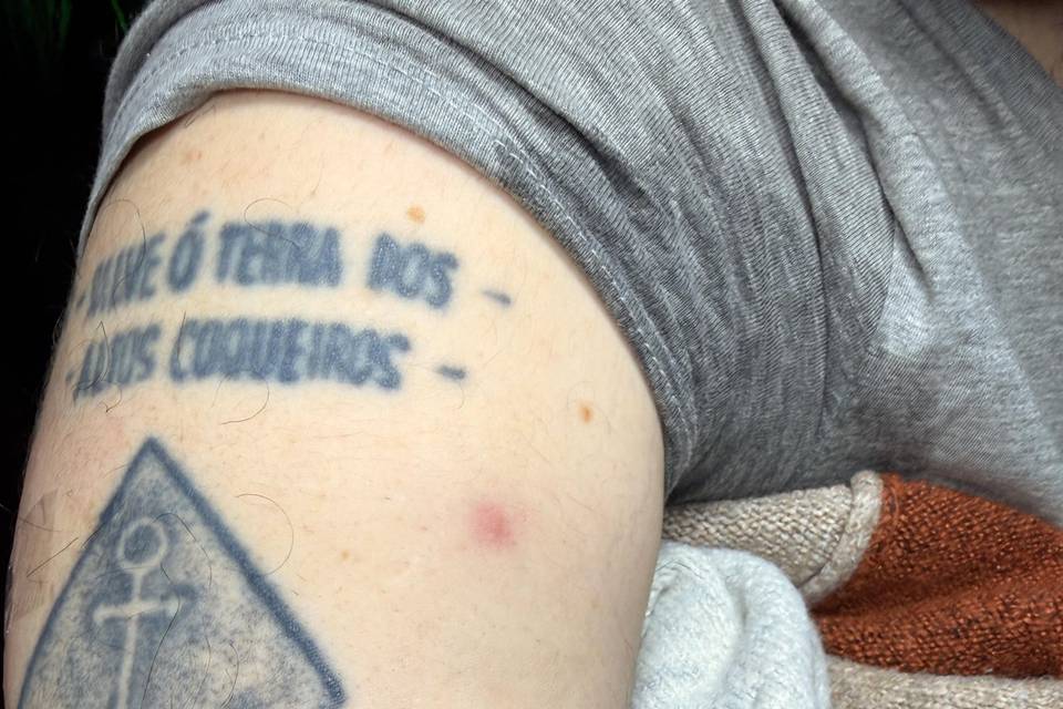 Exemplos