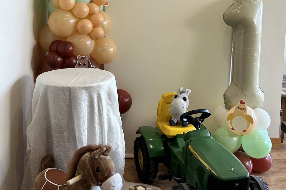 Aniversário - Tema Quinta