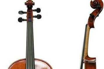 Viola d'arco