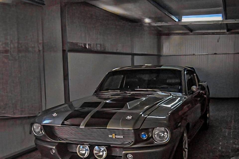 Shelby gt500