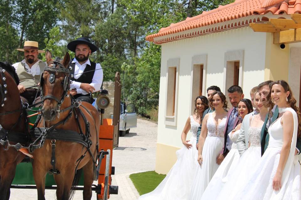 Entrada de Noivos - cavalos