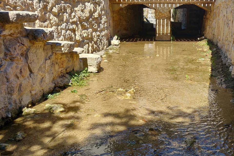 Levada de água da Quinta