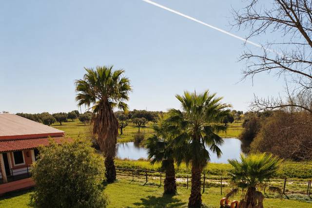 Quartos + Venue Lago