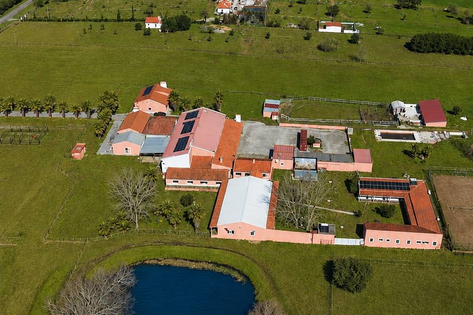 Aerial Full Picture