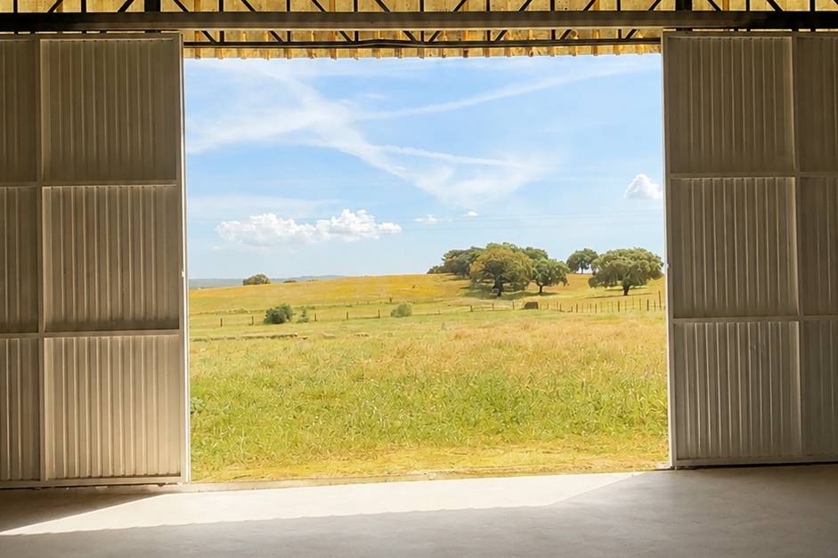 Interior Venue ( Picadeiro)