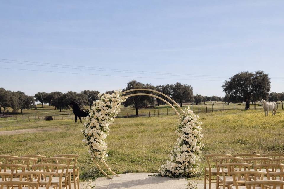 Married in Monte