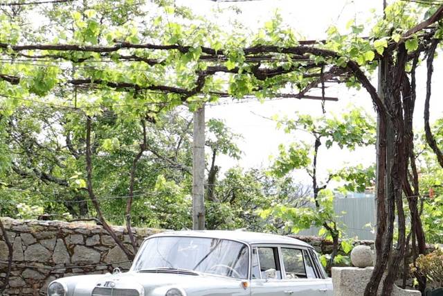 Mercedes 190D